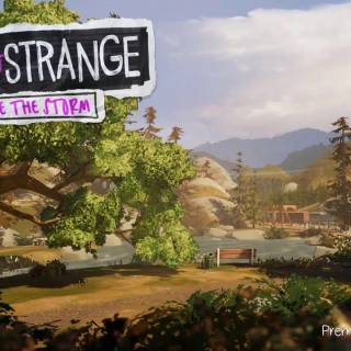 Life Is Strange PC wallpaper