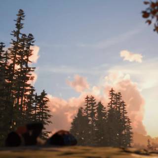 Life Is Strange PC wallpaper