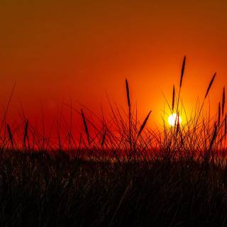 Sunrise laptop wallpaper