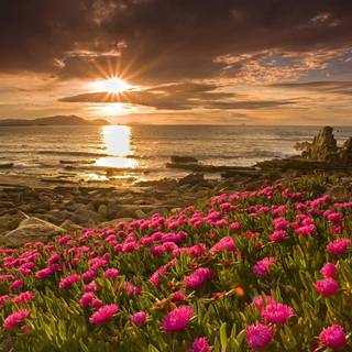 Sunrise laptop wallpaper