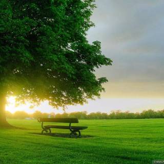 Sunrise laptop wallpaper