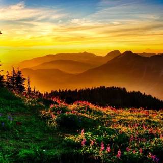 Sunrise laptop wallpaper