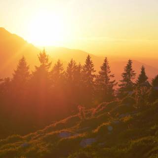 Sunrise laptop wallpaper