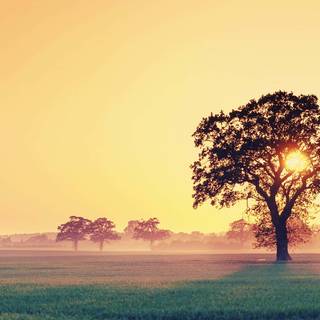 Sunrise laptop wallpaper