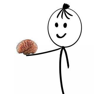 Hilarious memes wallpaper