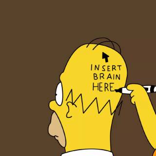 Hilarious memes wallpaper