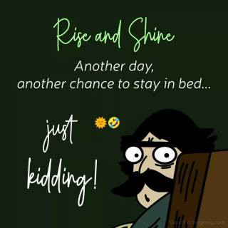 Hilarious memes wallpaper