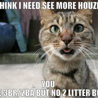 Hilarious memes wallpaper