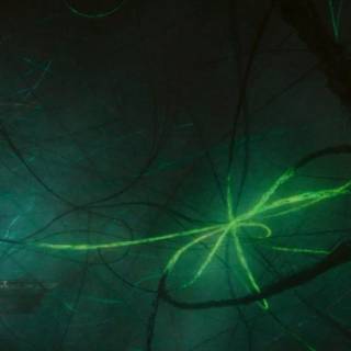 Loki Yggdrasil wallpaper