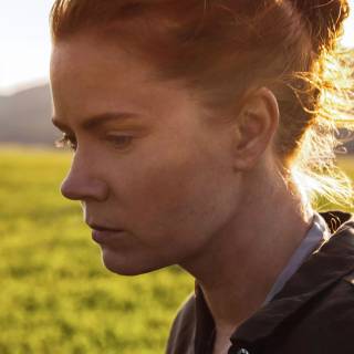 Amy Adams iPhone wallpaper