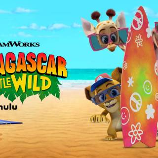 Madagascar: A Little Wild wallpaper