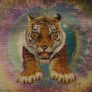 Cosmic tiger wallpaper