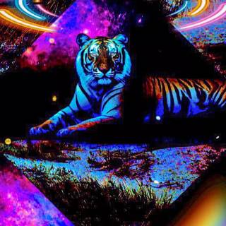 Cosmic tiger wallpaper