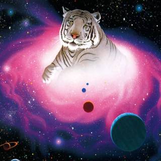 Cosmic tiger wallpaper
