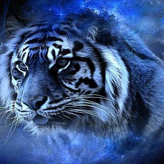 Cosmic tiger wallpaper