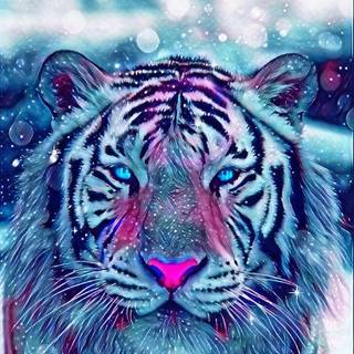 Cosmic tiger wallpaper