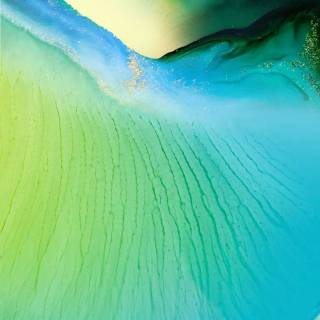 Vivo V50 Pro wallpaper