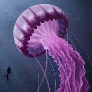 Pink jellyfish 4k wallpaper