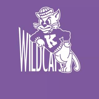 Retro logo wallpaper