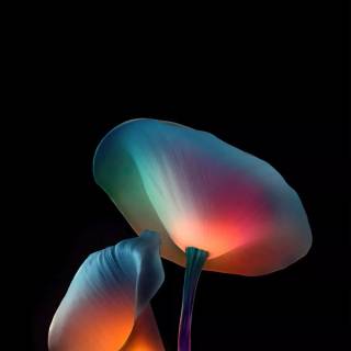 Oled nature wallpaper