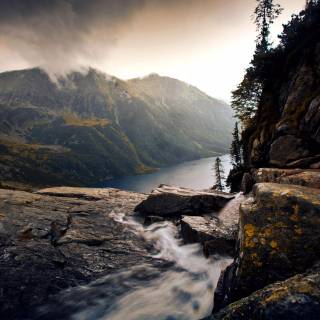 Oled nature wallpaper