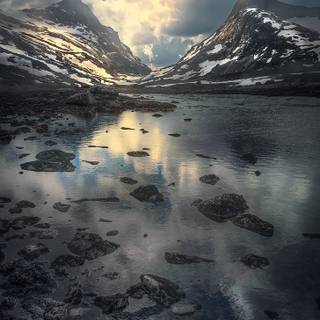 Oled nature wallpaper