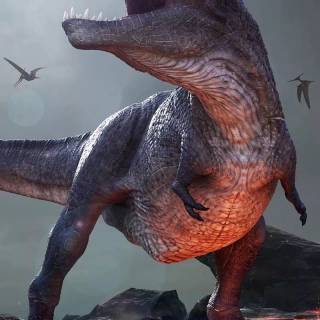 Phone dinosaur wallpaper