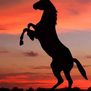 Spring horse wallpaper