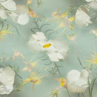 Desktop cute pastel wallpaper