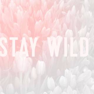 Desktop cute pastel wallpaper