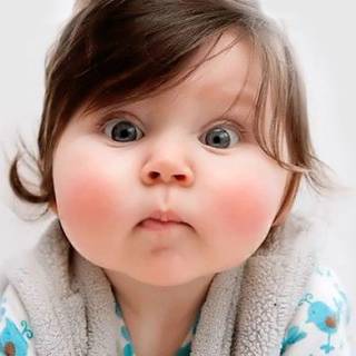 Big cheeks wallpaper