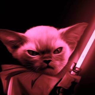 Star Wars cats wallpaper