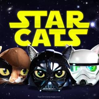 Star Wars cats wallpaper