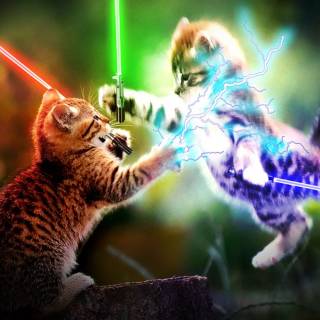 Star Wars cats wallpaper