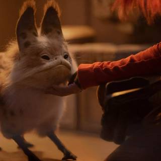 Star Wars cats wallpaper