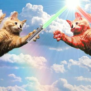 Star Wars cats wallpaper