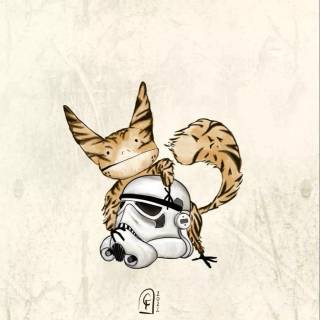 Star Wars cats wallpaper