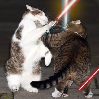 Star Wars cats wallpaper
