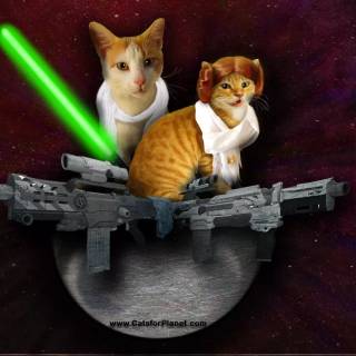 Star Wars cats wallpaper