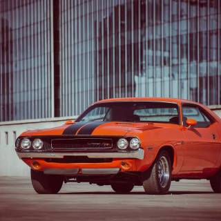 Old Dodge Challenger wallpaper