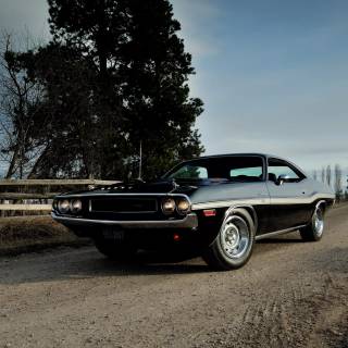 Old Dodge Challenger wallpaper