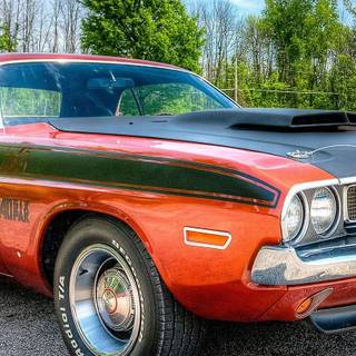 Old Dodge Challenger wallpaper