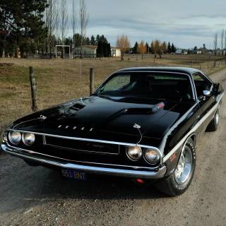 Old Dodge Challenger wallpaper