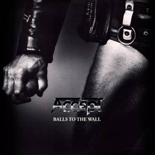 Accept band wallpaper