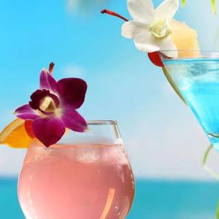 Tropical drinks wallpaper