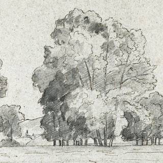 Drawn forest wallpaper