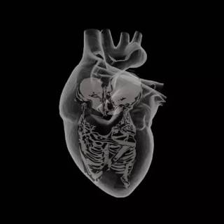 Skull heart broken wallpaper