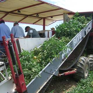 Service harvesting rig wallpaper