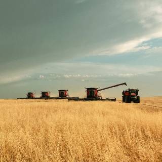 Service harvesting rig wallpaper