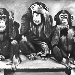 See No Evil, Hear No Evil wallpaper